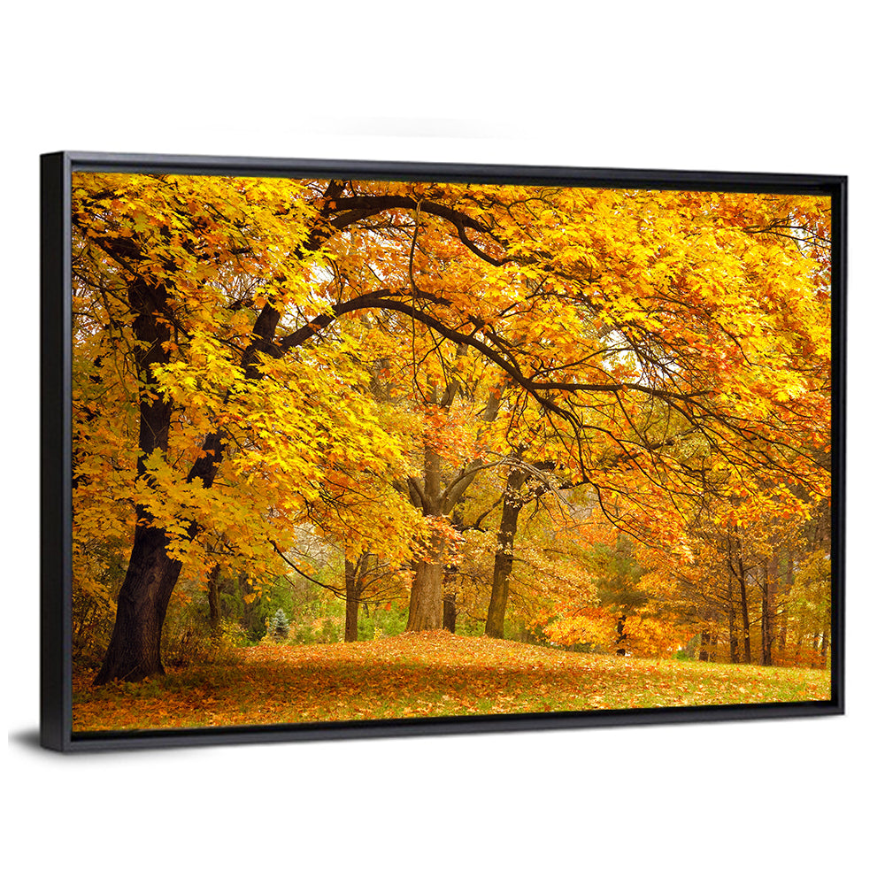 Autumn Gold Trees In Park Wall Art
