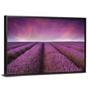 Lavender Field Sunset Wall Art