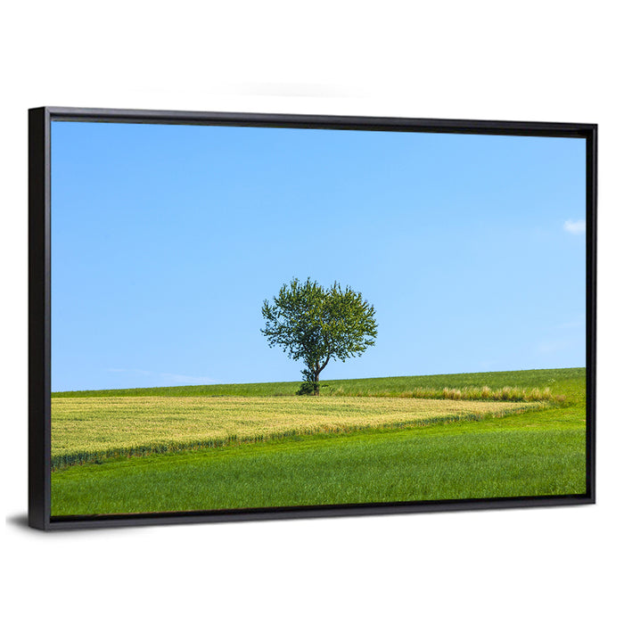 Solitary Tree on Rolling Meadow Wall Art as a framed canvas