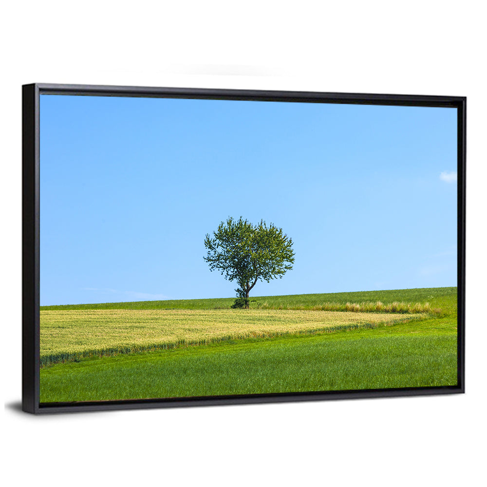 Lonely Tree At Meadow Wall Art