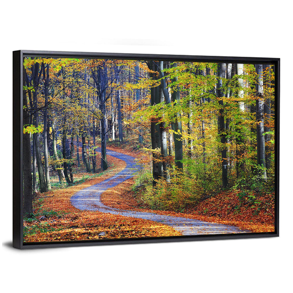 Winding Autumn Forest Path Wall Art