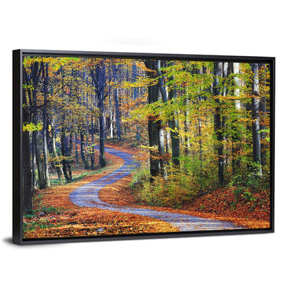 Winding Autumn Forest Path Wall Art