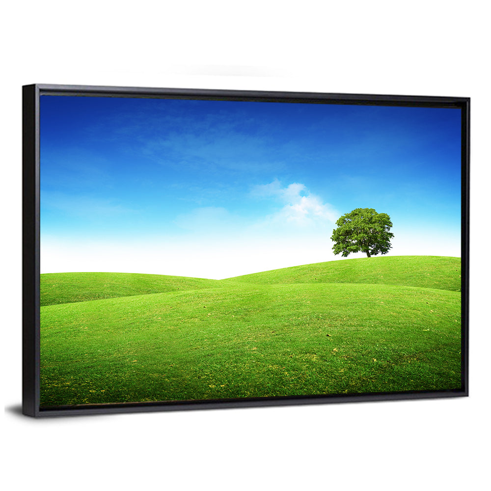 Lone Tree on Rolling Green Hill Wall Art