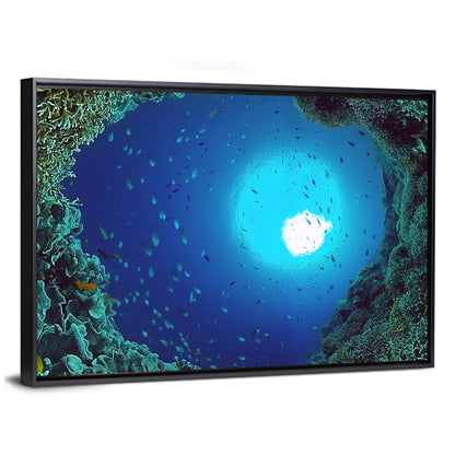 Sunlit Coral Reef with Tropical Fish Wall Art