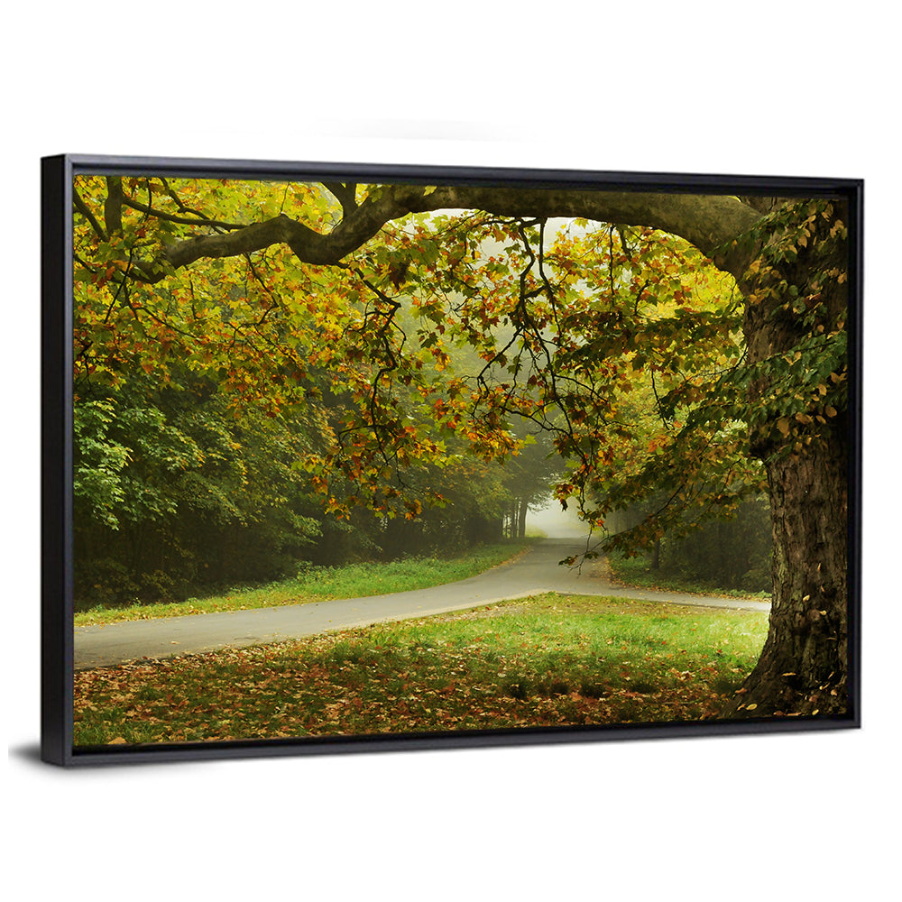 Foggy Autumn Forest Path Wall Art