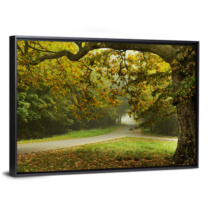 Foggy Autumn Forest Path Wall Art
