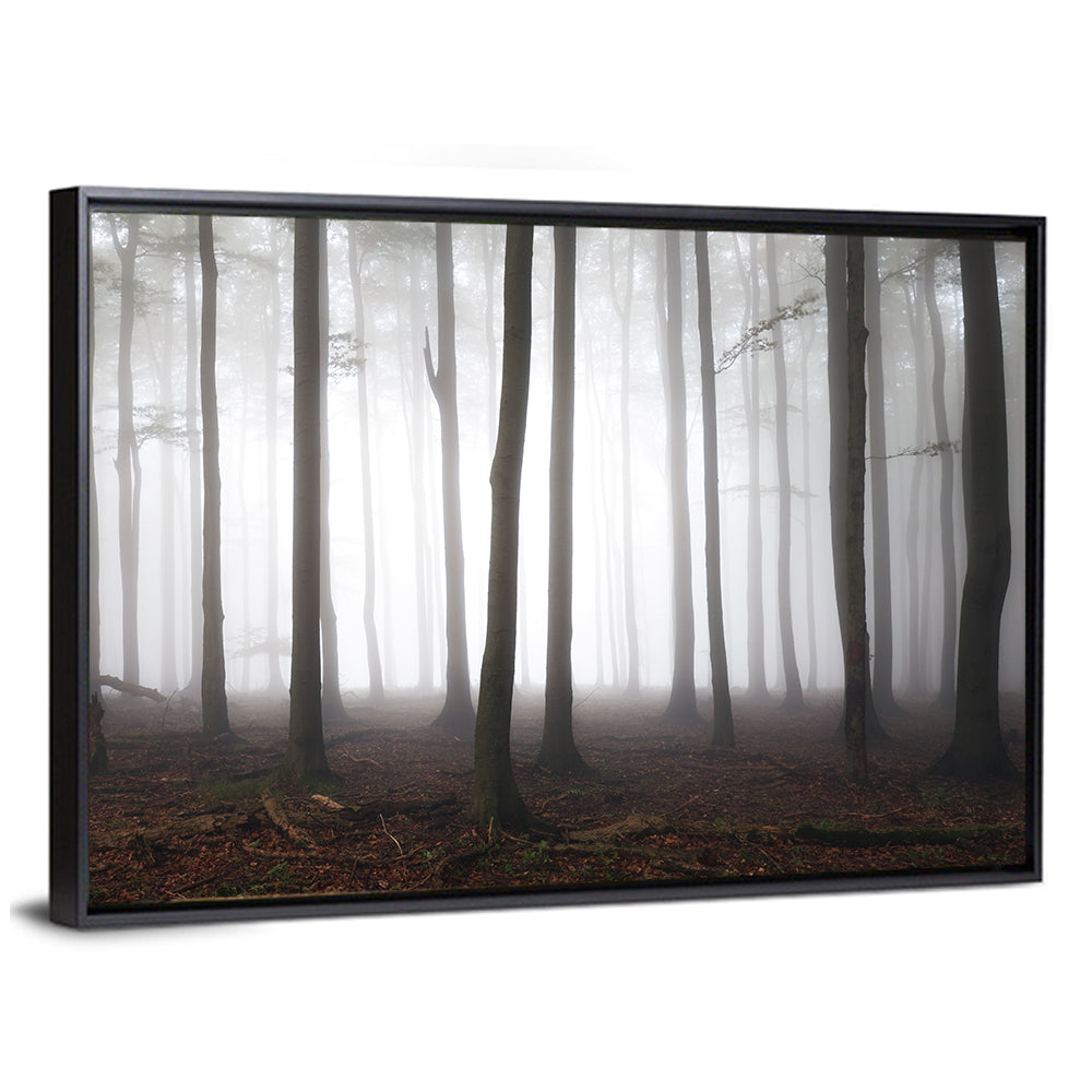 Misty Forest Perspective Wall Art