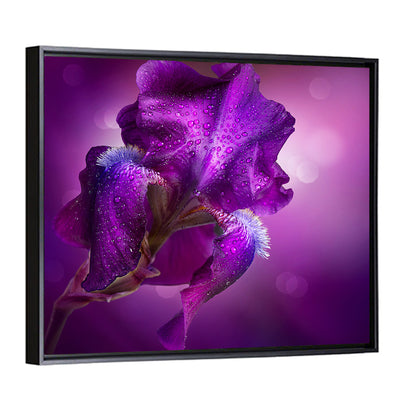 Purple Iris Macro Wall Art