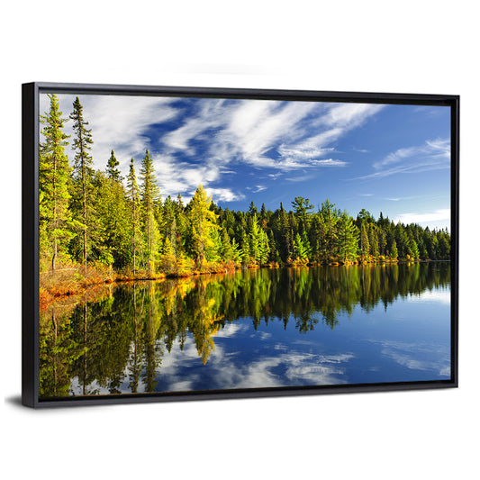 Lake Shore at Algonquin Park Wall Art