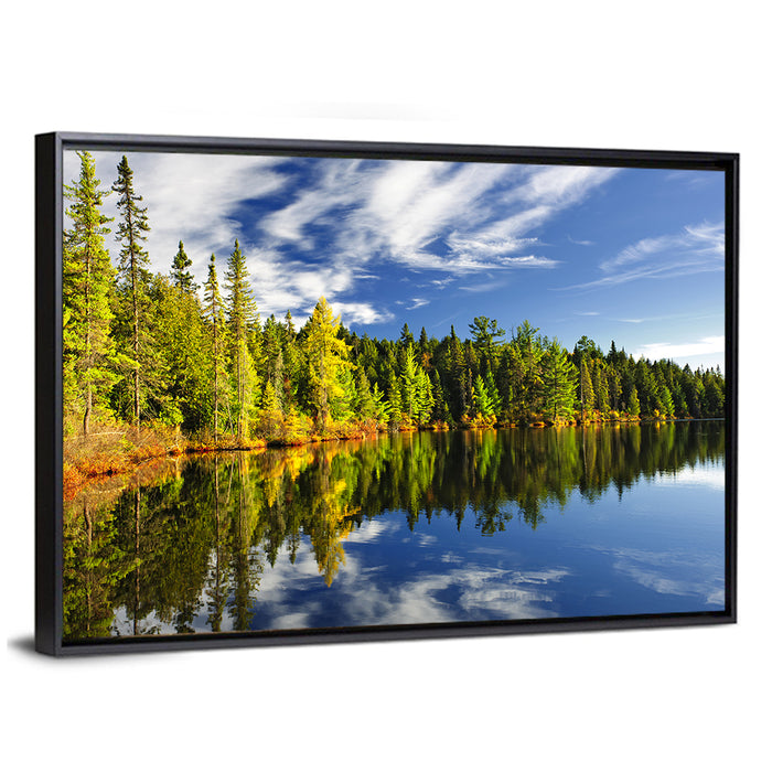 Lake Shore at Algonquin Park Wall Art as a framed canvas