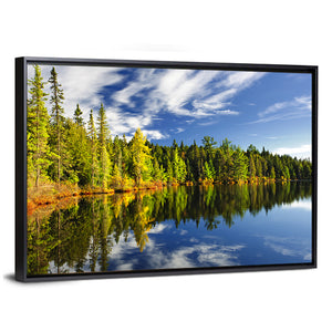 Lake Shore At Algonquin Park Wall Art