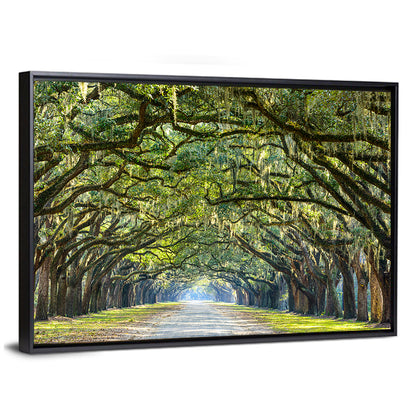 Savannah Oak Tree Pathway Wall Art