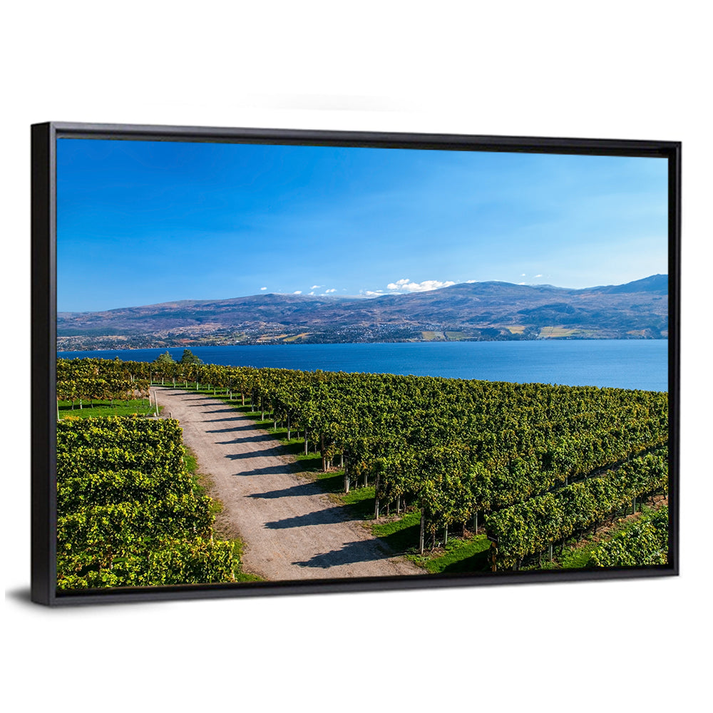 Lake Okanagan Vineyard Path Wall Art