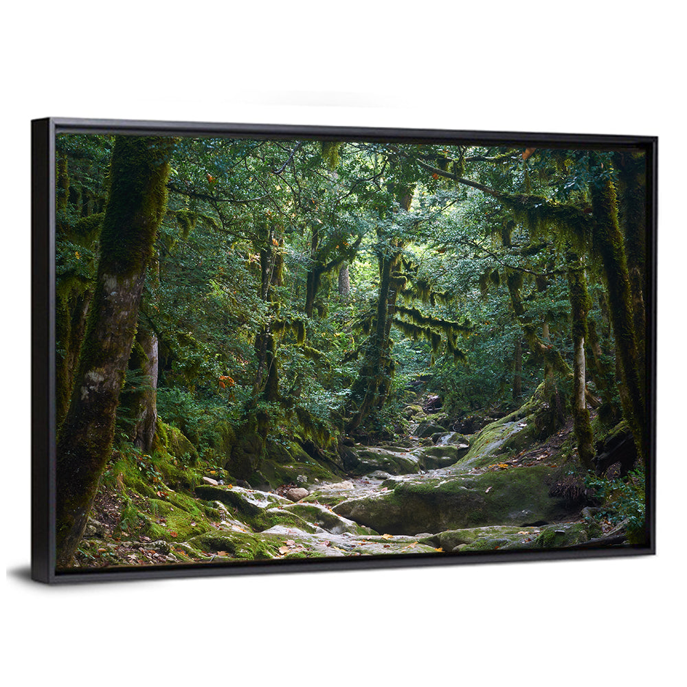 Mossy Halloween Forest Path Wall Art