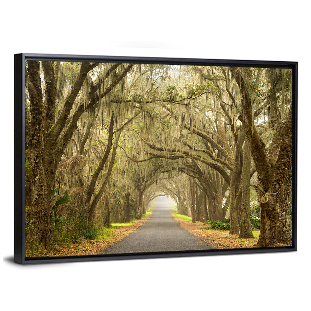 Spanish Moss Country Road Wall Art