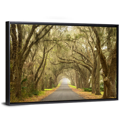 Spanish Moss Country Road Wall Art
