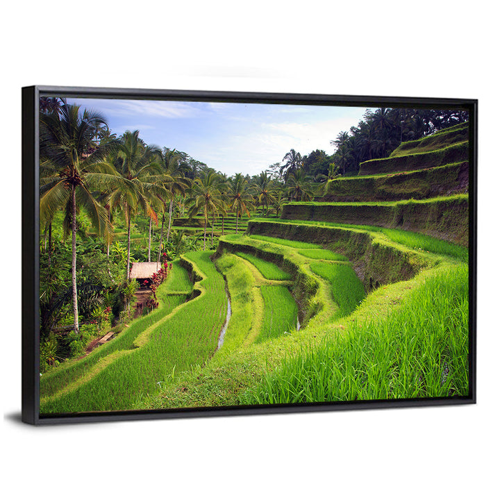 Tegallalang Rice Terraces Wall Art