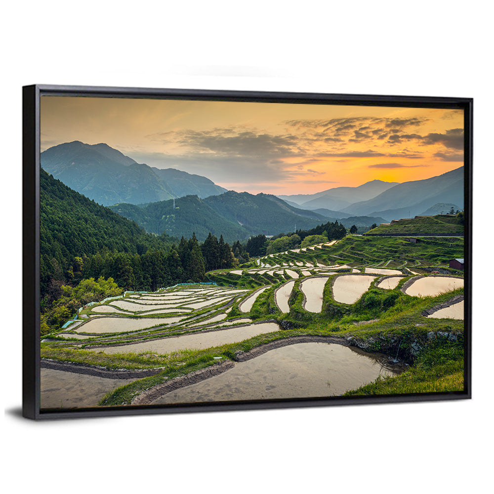 Japanese Rice Terraces Sunset Wall Art