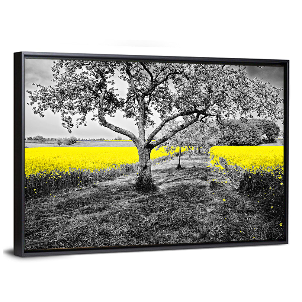 Yellow Oilseed Field with Lone Tree Wall Art