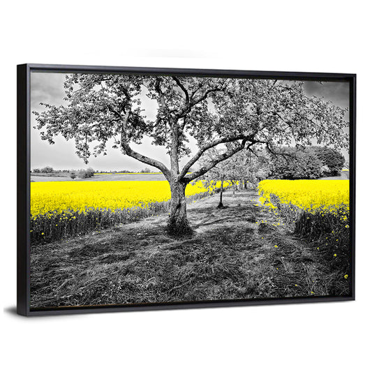 Yellow Oilseed Field with Lone Tree Wall Art