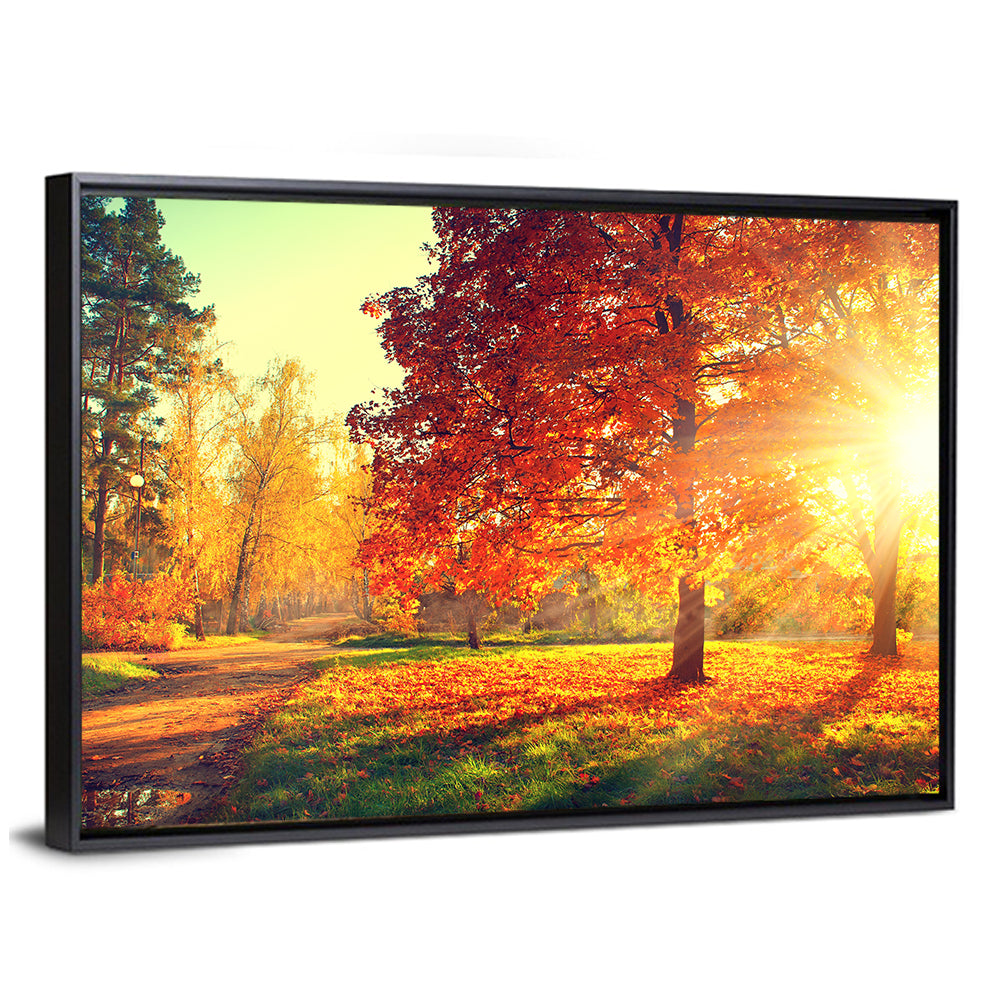 Sunlit Autumn Forest Path Wall Art