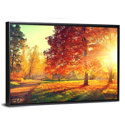 Sunlit Autumn Forest Path Wall Art