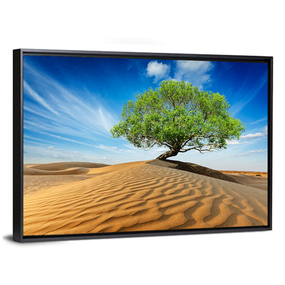 Solitary Green Tree on Sand Dune Wall Art