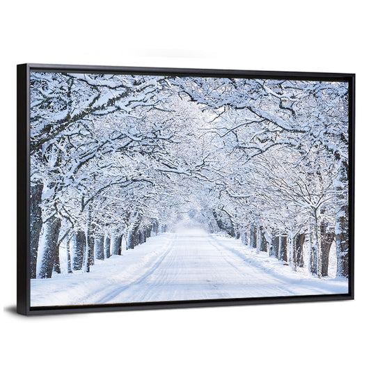 Snowy Morning Alley Wall Art