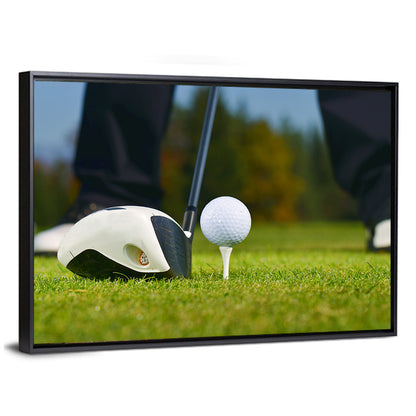 Golf Ball and Club Close Up Wall Art