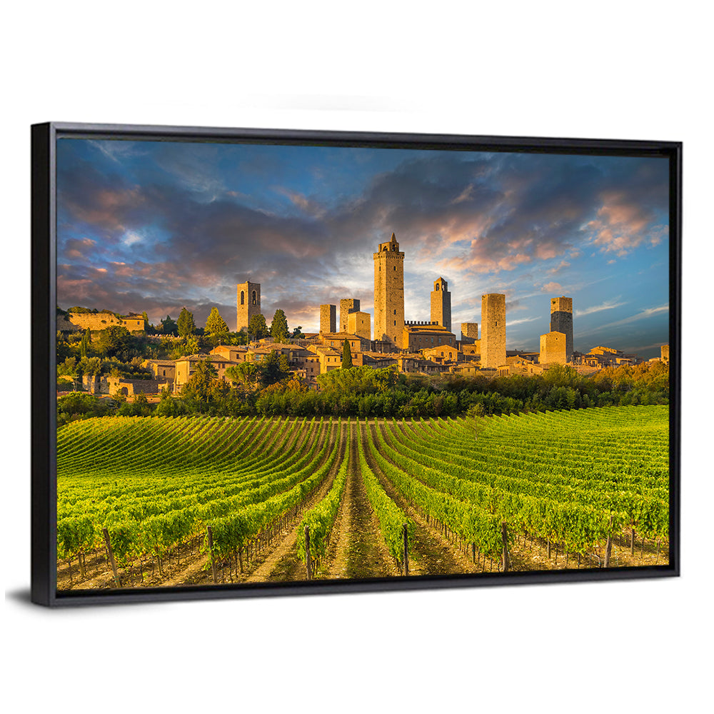 Vineyards of San Gimignano Wall Art