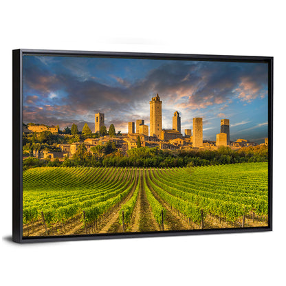 Vineyards of San Gimignano Wall Art
