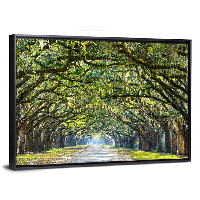Wormsloe Plantation Oak Tunnel Wall Art as a framed canvas