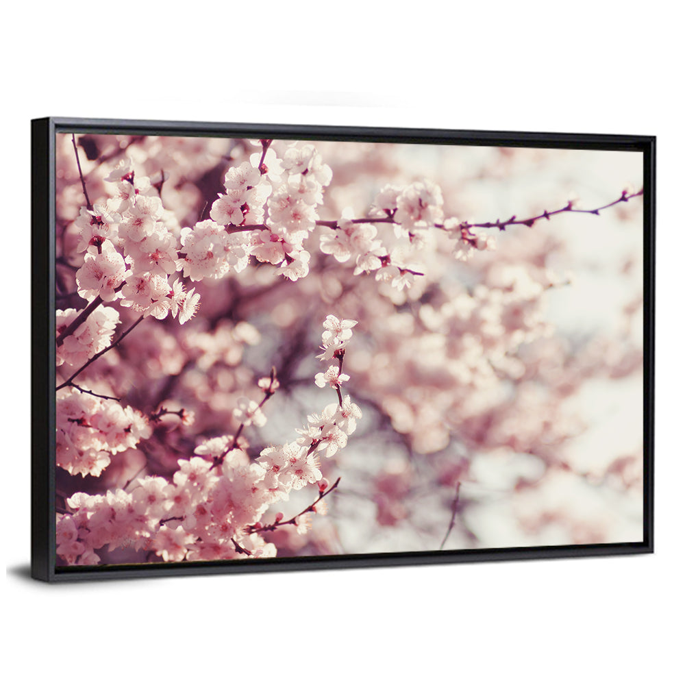 Pink Cherry Blossom Close-up Wall Art