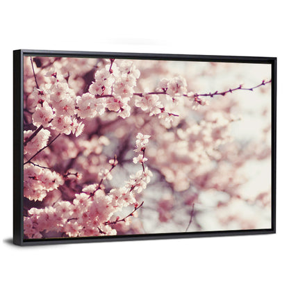 Pink Cherry Blossom Close-up Wall Art
