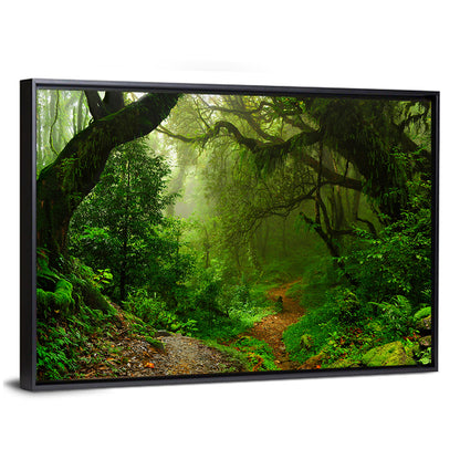 Misty Forest Trail in Nepal Wall Art