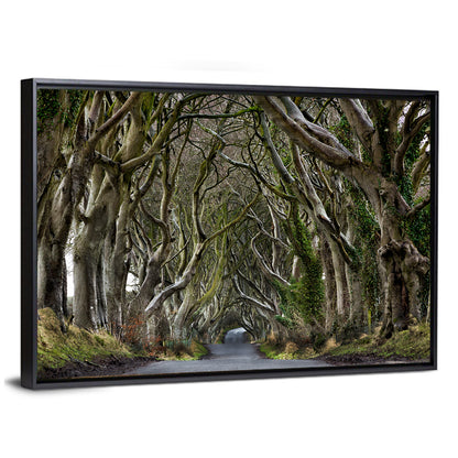 Dark Hedges Tree Tunnel Wall Art