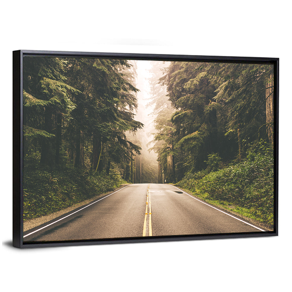 Redwood Highway, Northern California Wall Art