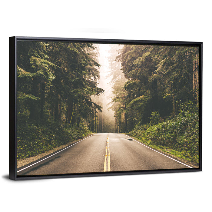 Redwood Highway, Northern California Wall Art as a framed canvas