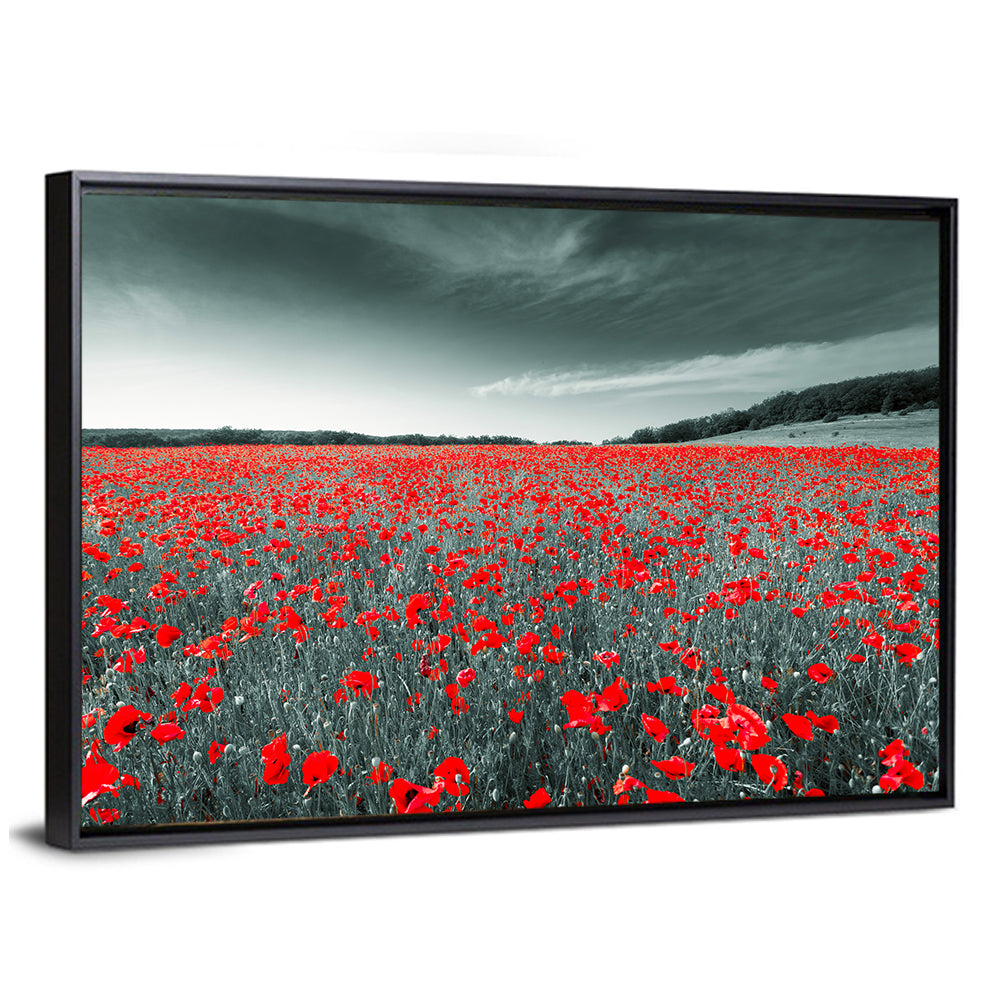 Red Poppy Field Wall Art