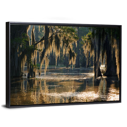 Spanish Moss In Louisiana Bayou Wall Art