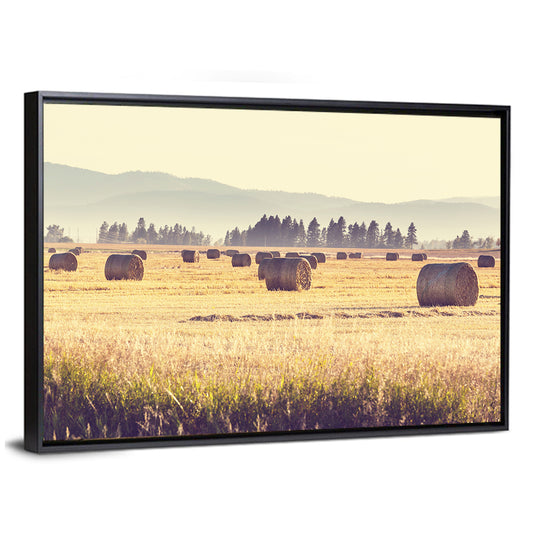 Golden Hay Bales Field Wall Art