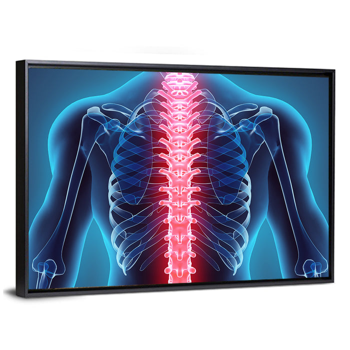 Human Spine Anatomy Illustration Wall Art as a framed canvas