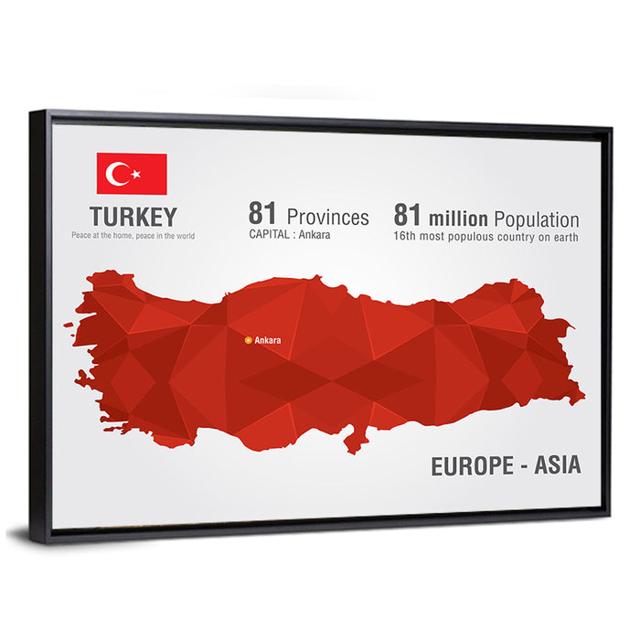 Turkey Map Infographic Wall Art as a framed canvas