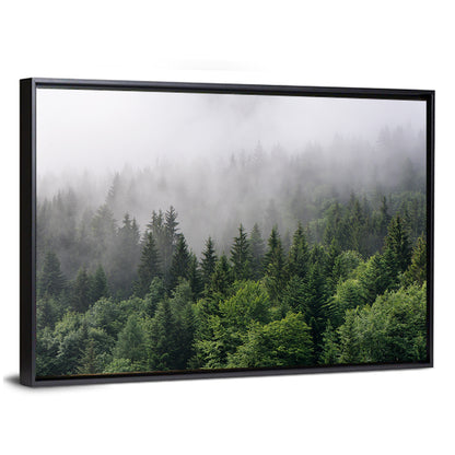 Misty Evergreen Forest Overview Wall Art