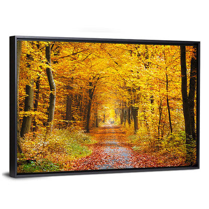 Autumn Forest Path Wall Art