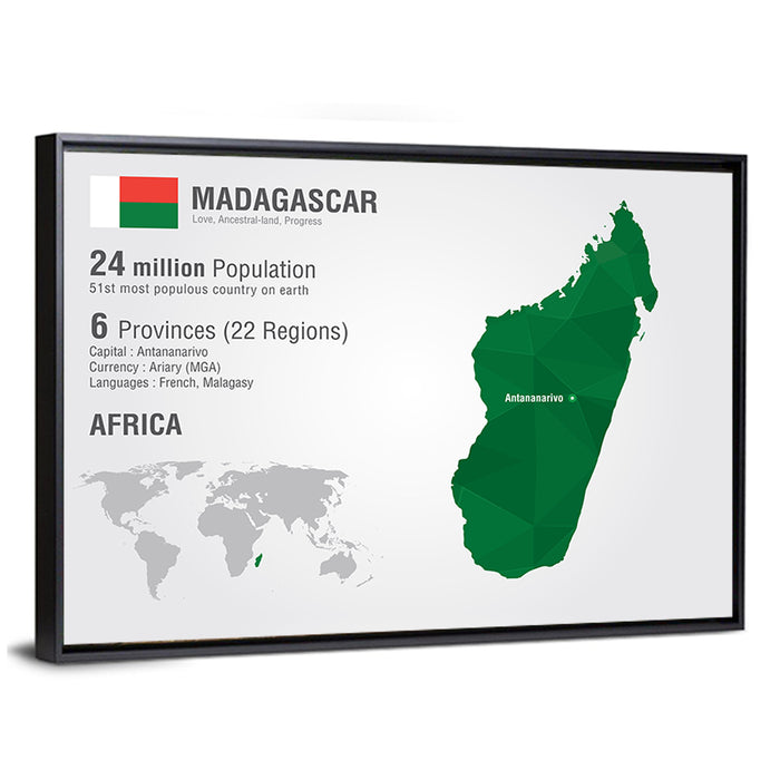 Madagascar Geometric Map Wall Art as a framed canvas