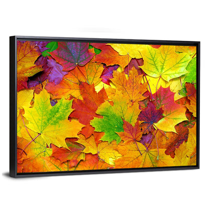 Colorful Autumn Leaves Wall Art