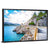 Adriatic Sea Coastline Wall Art