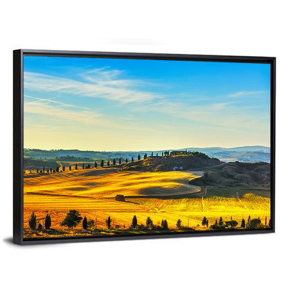 Cypress Trees Over Golden Fields Wall Art