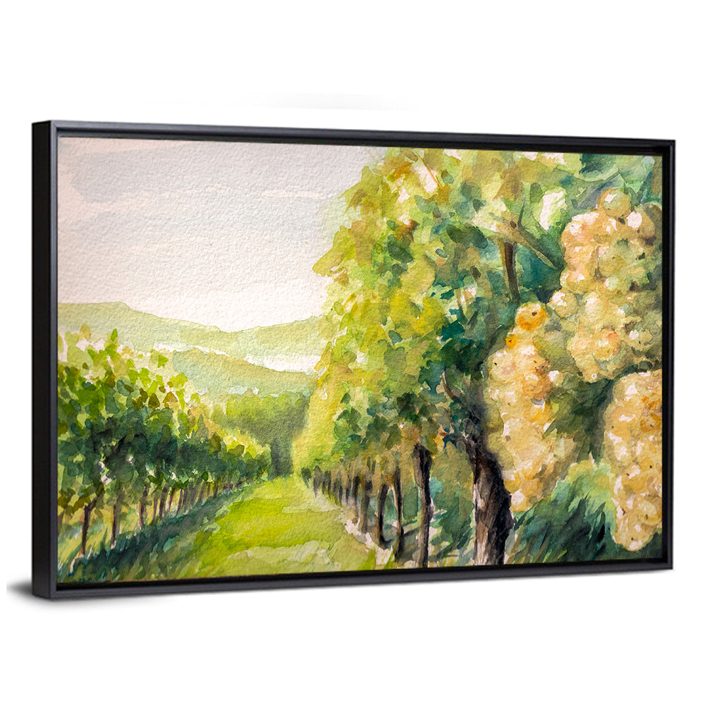 Sunlit Vineyard Watercolor Wall Art